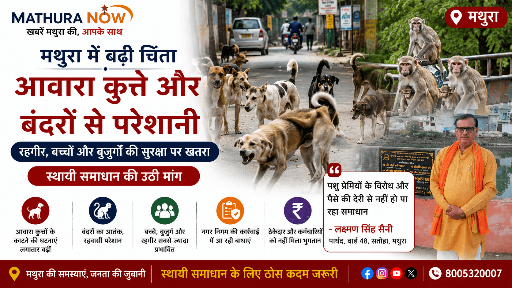 Mathura Residents Raise Concerns Over Growing Street Dog and Monkey Menace