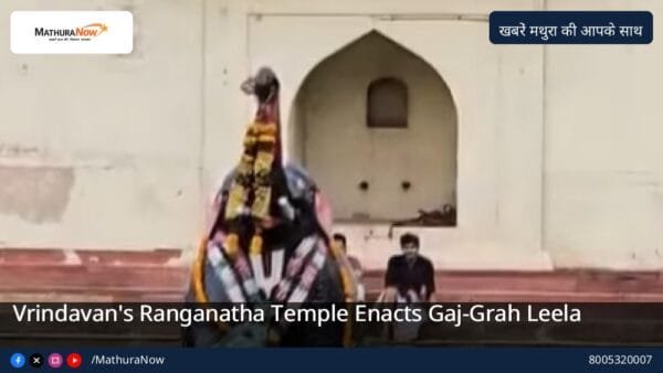 Vrindavan’s Ranganatha Temple Enacts Gaj-Grah Leela