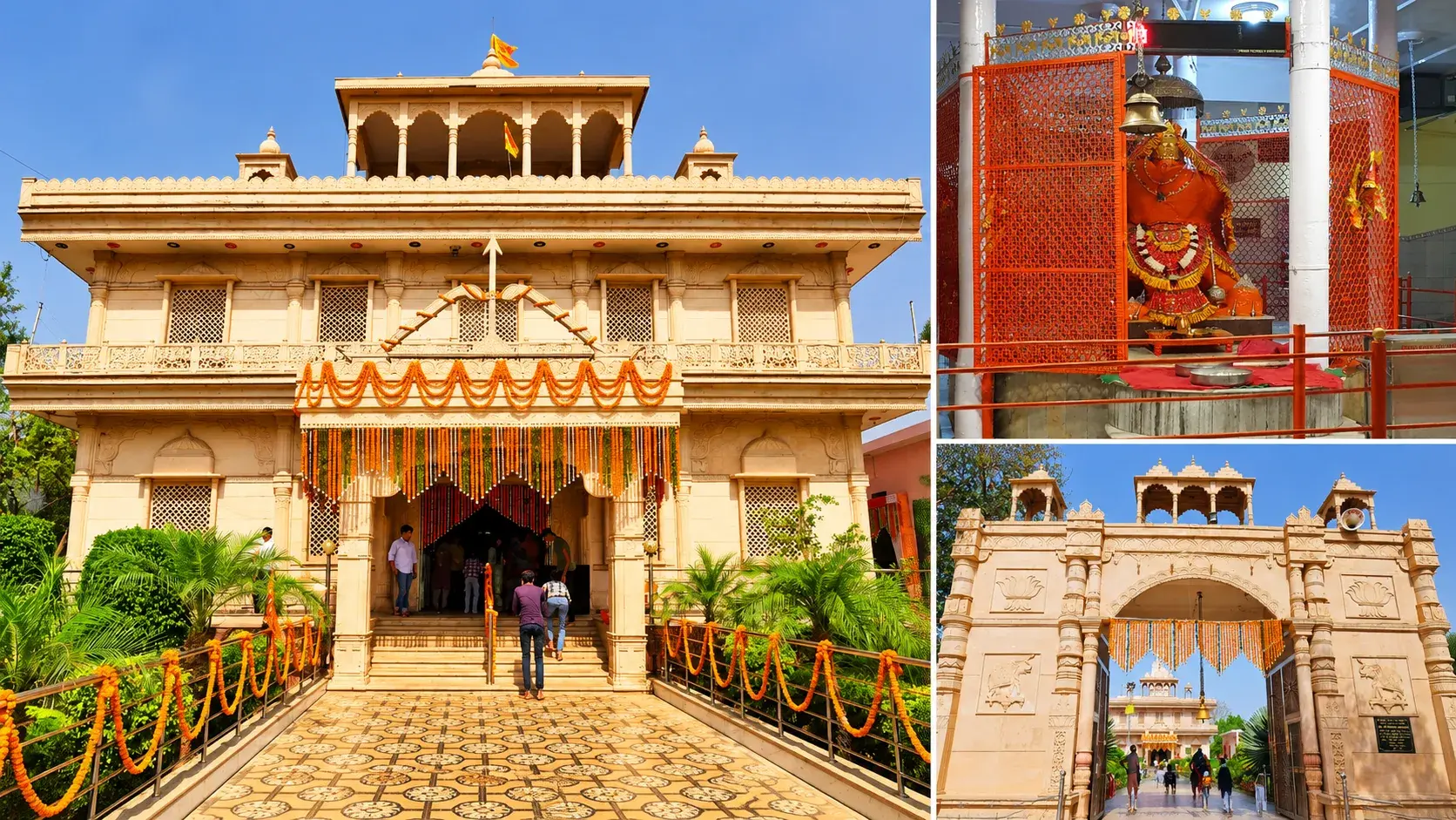 श्री झाड़ी हनुमान मंदिर, नौझील में आस्था और परंपरा का प्रतीक 1 Shri Jhadi Hanuman Temple A Beacon of Faith and Tradition in Naujheel